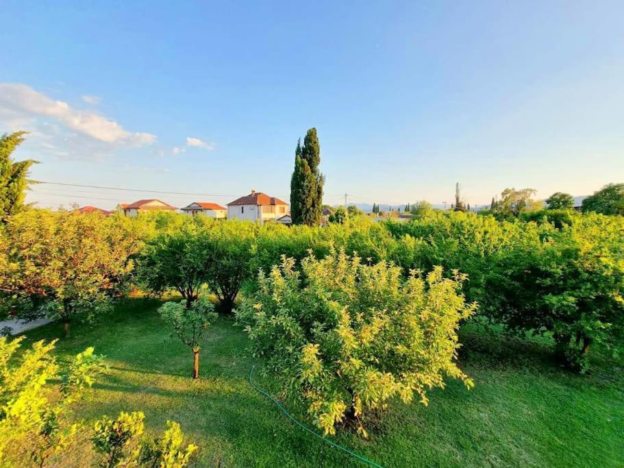 Home Mia Airport Podgorica Ngoại thất bức ảnh